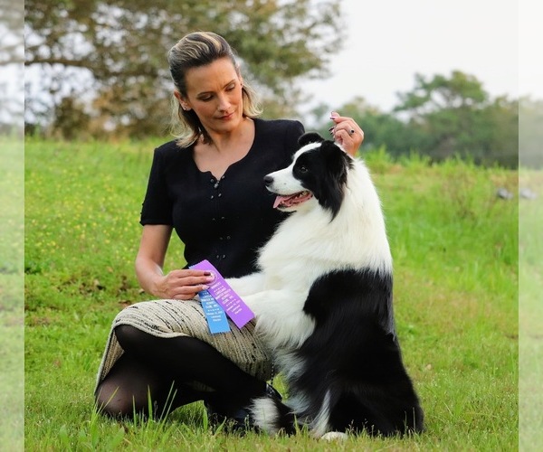 Medium Photo #11  Breeder Profile in BRYANTOWN, MD, USA