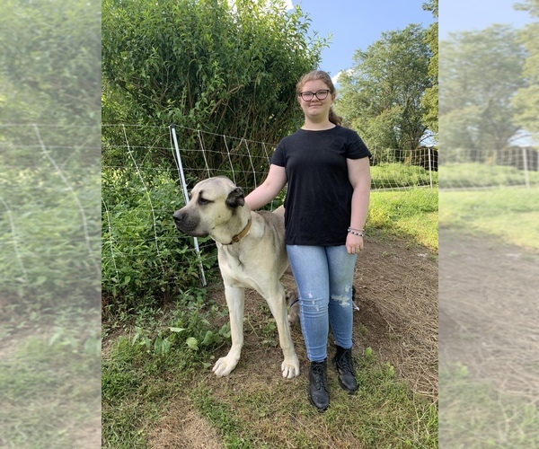 Medium Photo #1  Breeder Profile in BENTON, PA, USA