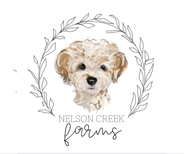 Medium Photo #1  Breeder Profile in HUNTSVILLE, TX, USA