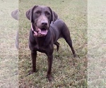 Small #27 Breeder Profile image