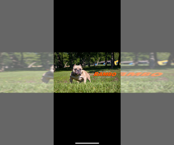 Medium Photo #9  Breeder Profile in HOUSTON, TX, USA