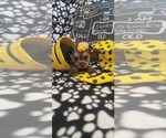 Small #255 Breeder Profile image