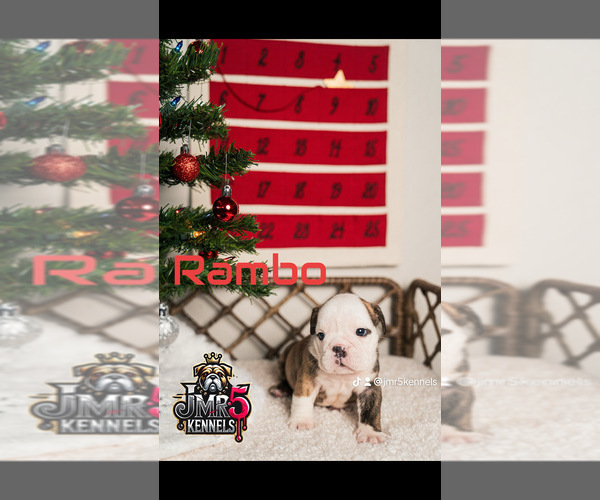 Medium Photo #10  Breeder Profile in PORTERVILLE, CA, USA