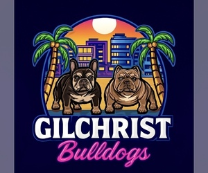 French Bulldog Dog Breeder near HANCEVILLE, AL, USA