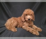 Small #9 Breeder Profile image