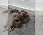 Small #11 Breeder Profile image
