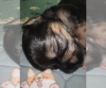 Small #33 Breeder Profile image
