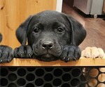 Small #5 Breeder Profile image