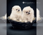 Small #23 Breeder Profile image