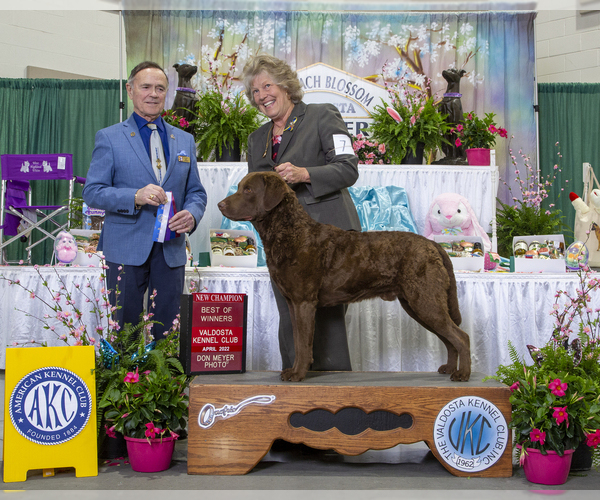 Medium Photo #2  Breeder Profile in WAGENER, SC, USA