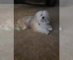 Small #2 Breeder Profile image