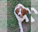 Small #2 Breeder Profile image