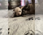 Small #23 Breeder Profile image