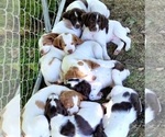 Small #5 Breeder Profile image