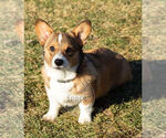 Small #4 Breeder Profile image