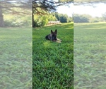 Small #16 Breeder Profile image