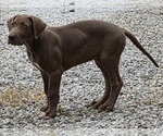 Small #3 Breeder Profile image