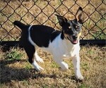Small #21 Breeder Profile image