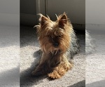 Small #1 Breeder Profile image