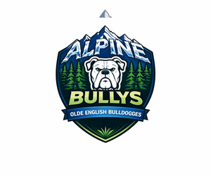Olde English Bulldogge Dog Breeder near ATHOL, ID, USA