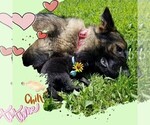 Small #18 Breeder Profile image