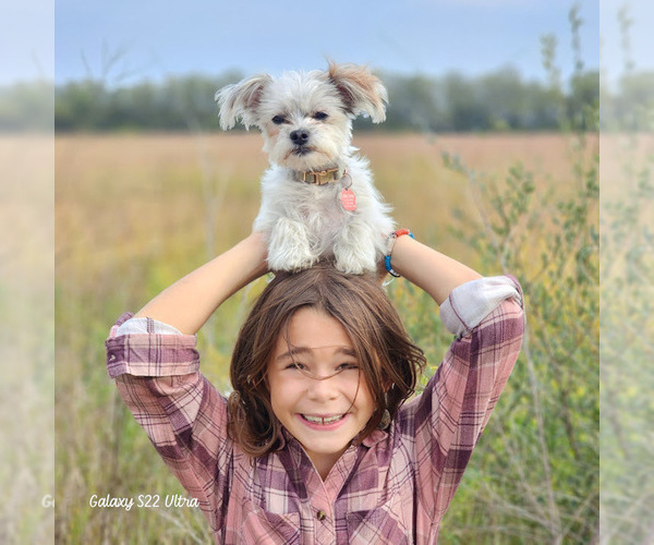 Medium Photo #9  Breeder Profile in FARMINGTON, MN, USA