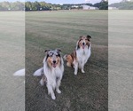 Small #5 Breeder Profile image