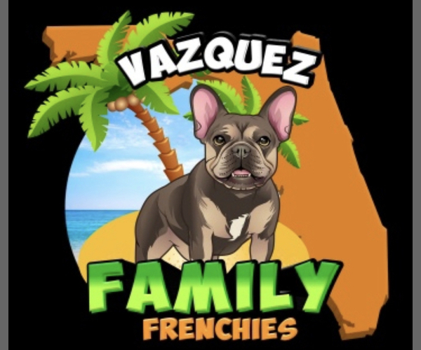 Medium Photo #1  Breeder Profile in MIAMI, FL, USA