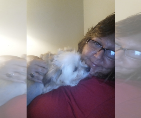Medium Photo #1  Breeder Profile in ROBBINS, NC, USA