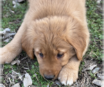Small #6 Breeder Profile image