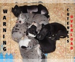 Small #7 Breeder Profile image