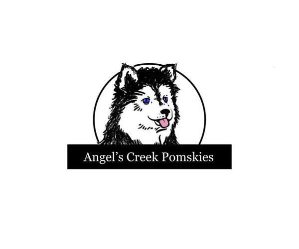 Medium Photo #1  Breeder Profile in BOLINGBROOK, IL, USA