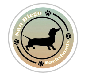 Main photo of Dachshund Dog Breeder near BONITA, CA, USA