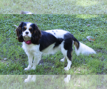Small #5 Breeder Profile image