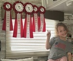 Small #24 Breeder Profile image