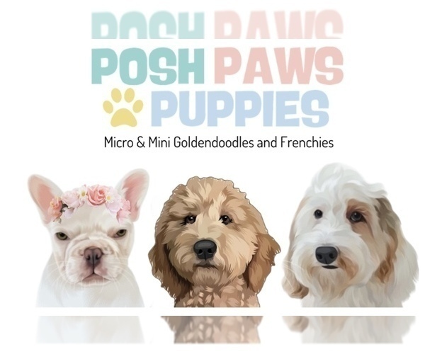 Medium Photo #3  Breeder Profile in PEARLAND, TX, USA