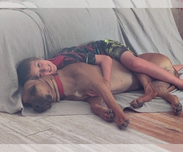 Medium Photo #5  Breeder Profile in ALBA, TX, USA