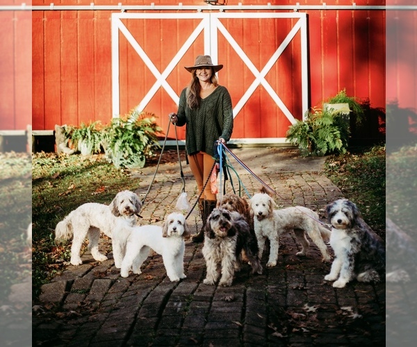 Medium Photo #1  Breeder Profile in STERRETT, AL, USA