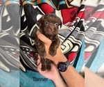 Small #74 Breeder Profile image