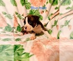 Small #6 Breeder Profile image