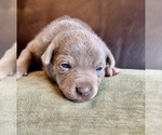 Small #64 Breeder Profile image