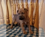 Small #6 Breeder Profile image