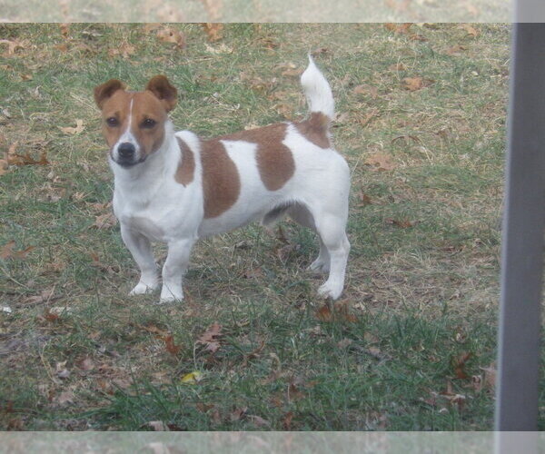 Medium Photo #1  Breeder Profile in CINCINNATI, OH, USA