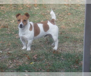 Medium Breeder Profile Photo