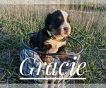 Small Photo #12  Breeder Profile in BONNERS FERRY, ID, USA