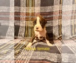 Small #7 Breeder Profile image