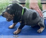Small #9 Breeder Profile image