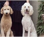 Small #11 Breeder Profile image