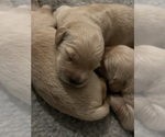 Small #3 Breeder Profile image