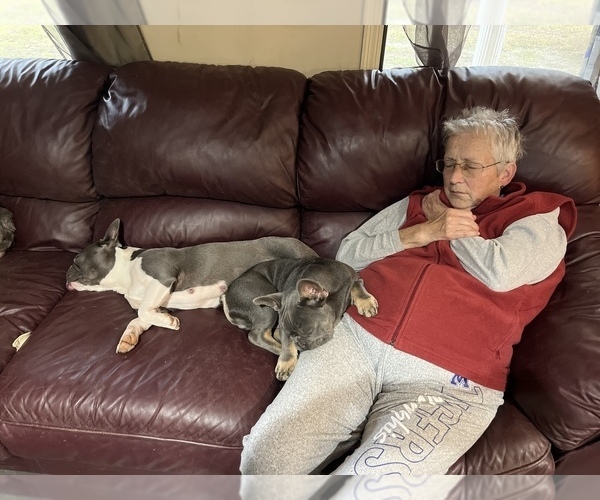 Medium Photo #37  Breeder Profile in GRIFFIN, GA, USA